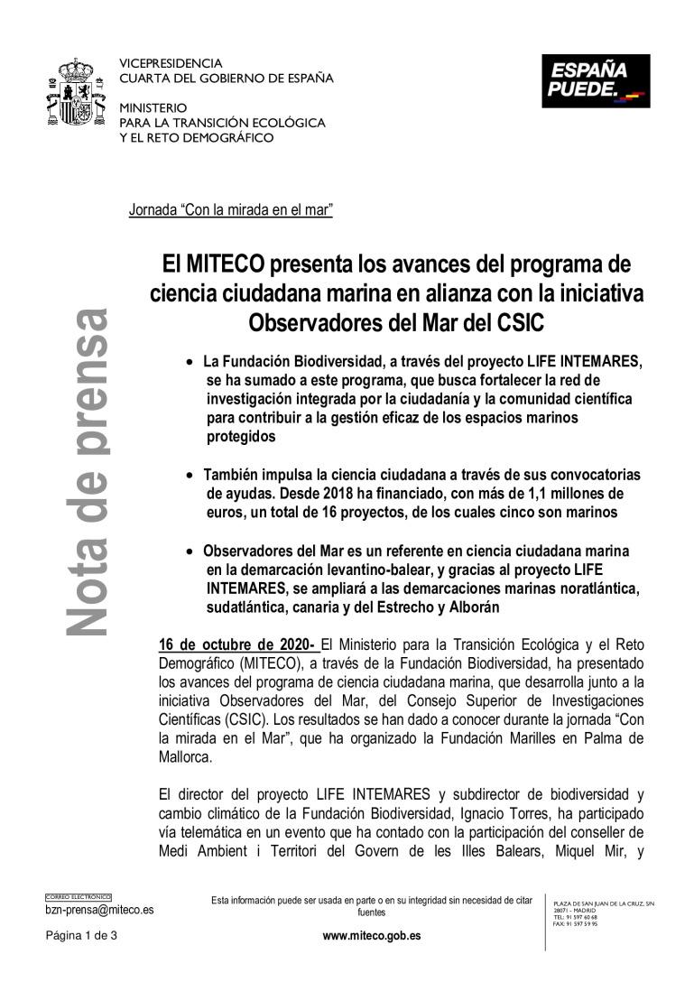 miniatura pdf
