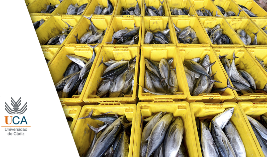 ECOFISH II – Hacia una pesca sostenible en el Golfo de Cádiz