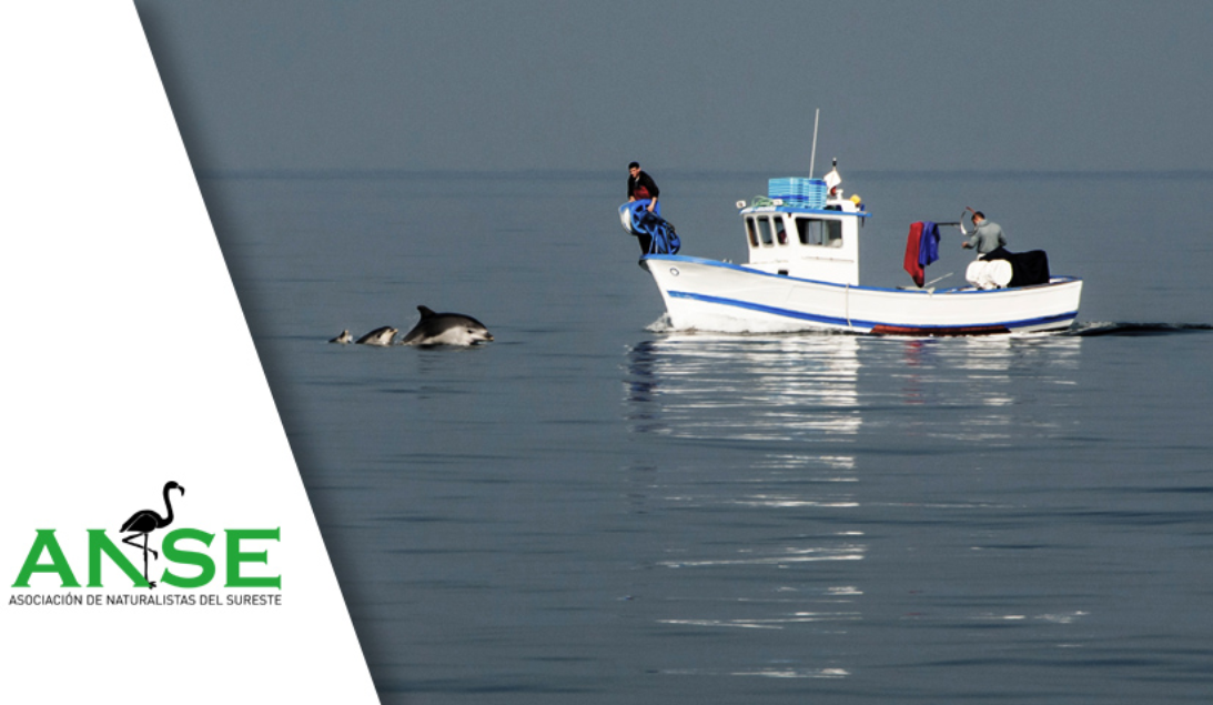INDELPESUR – Evaluación de interacciones de delfín mular y pesquerías del sur y sureste en áreas marinas protegidas para una gestión integrada
