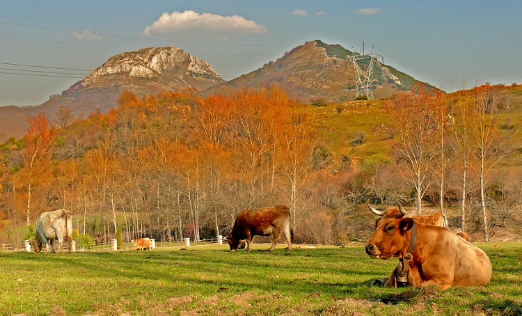 Reserva de la Biosfera del Alto Bernesga.