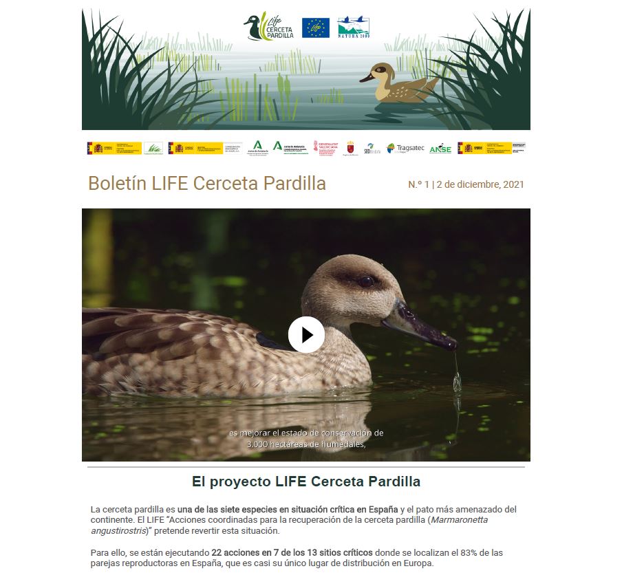 Boletín LIFE Cerceta Pardilla n.º 1