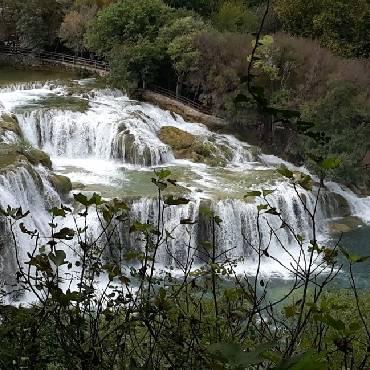 Red viaria sostenible y gestión de corredores ecológicos en la cuenca del Tajo