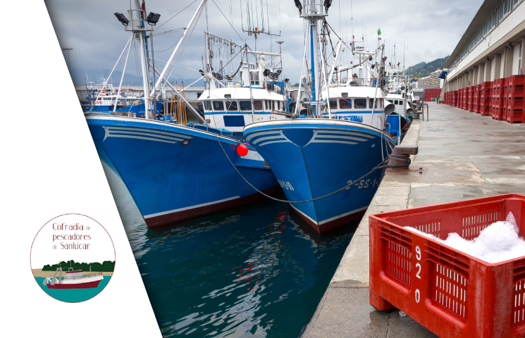 GISPECERCO: Plan de Gestión Integral Sostenible para la Pesquería del Cerco en el Golfo de Cádiz