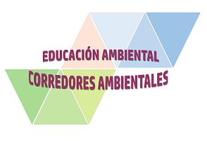 entorno_producciones