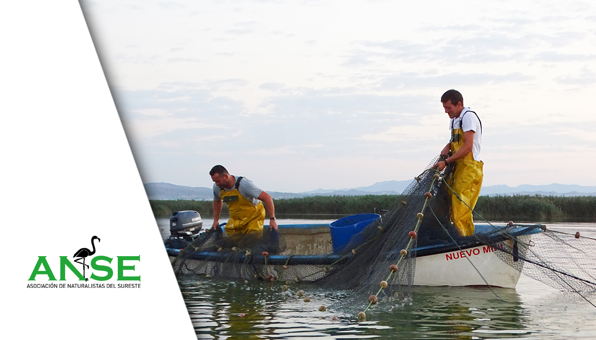 GePescArt – Proyecto de pesca artesanal para la gestión de humedales costeros y especies de interés pesquero
