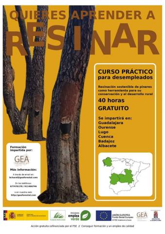 gestion_forestal