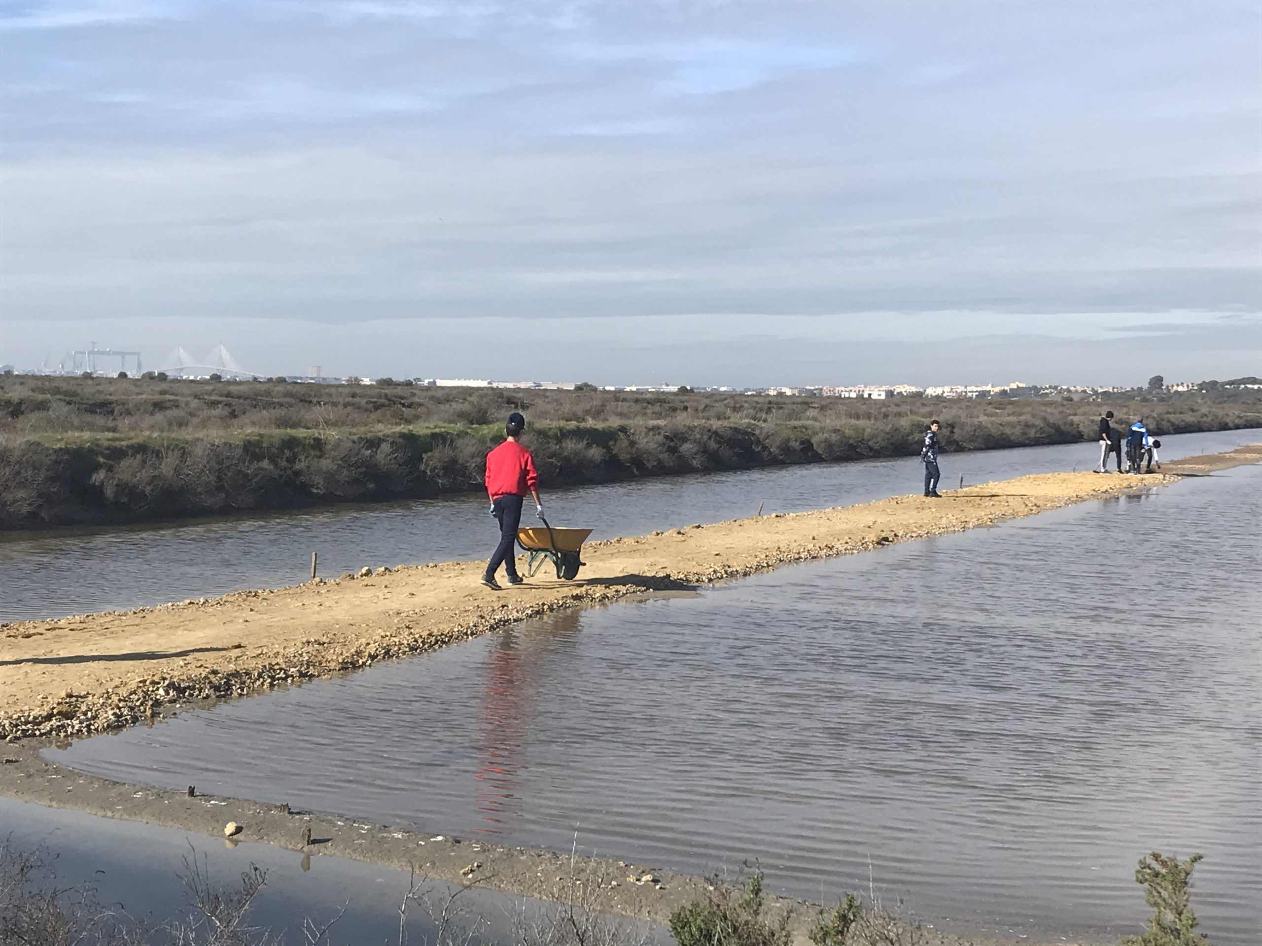 Ecoherencia_Recuperación salinas Parque Natural Bahía de Cádiz