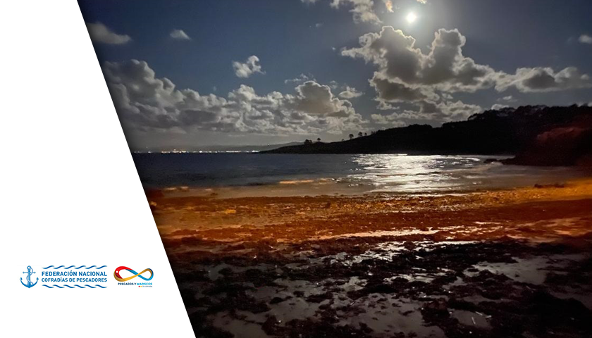 MARDEVIDAS: Programa de Sensibilización Ecosocial y de Sostenibilidad del Mar