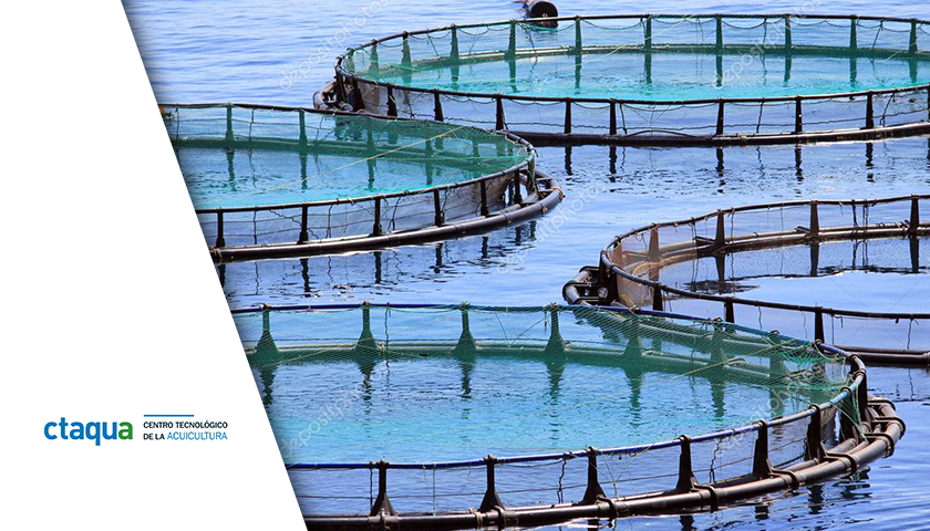 FOULACTIVE – Desarrollo de tratamiento antifouling que permita reducir el impacto en el medio ambiente de viveros flotantes