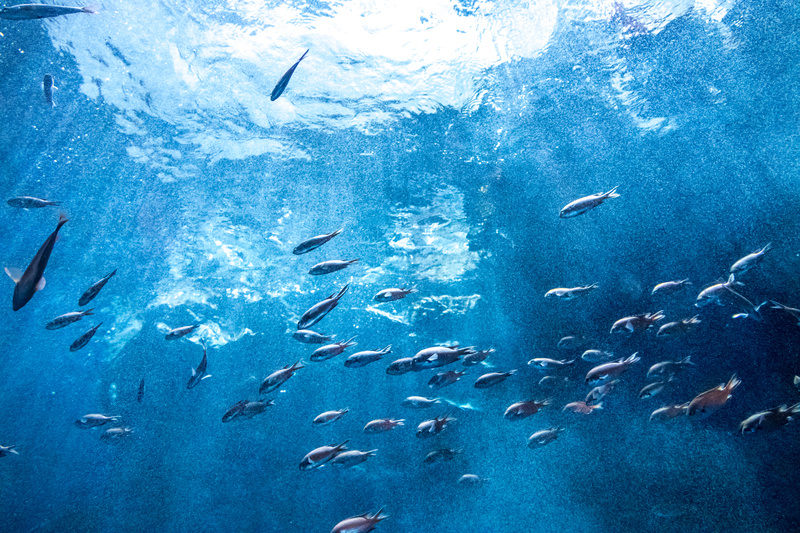 AdobeStock_184128885 (1)