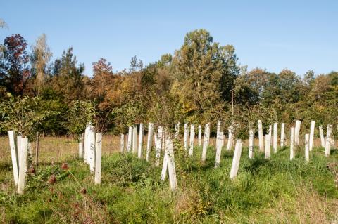 adobestock_293987800_1