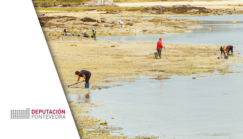 DEPOMAR – La importancia del trabajo de las mujeres mariscadoras en entornos de Red Natura 2000