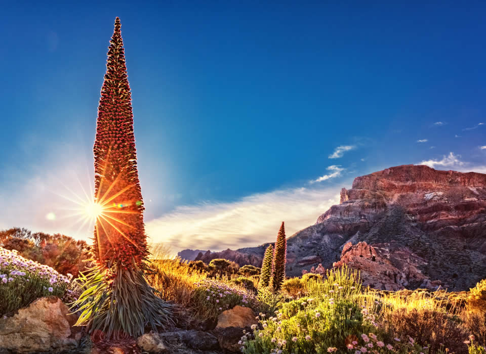 Goals - Fundación Biodiversidad