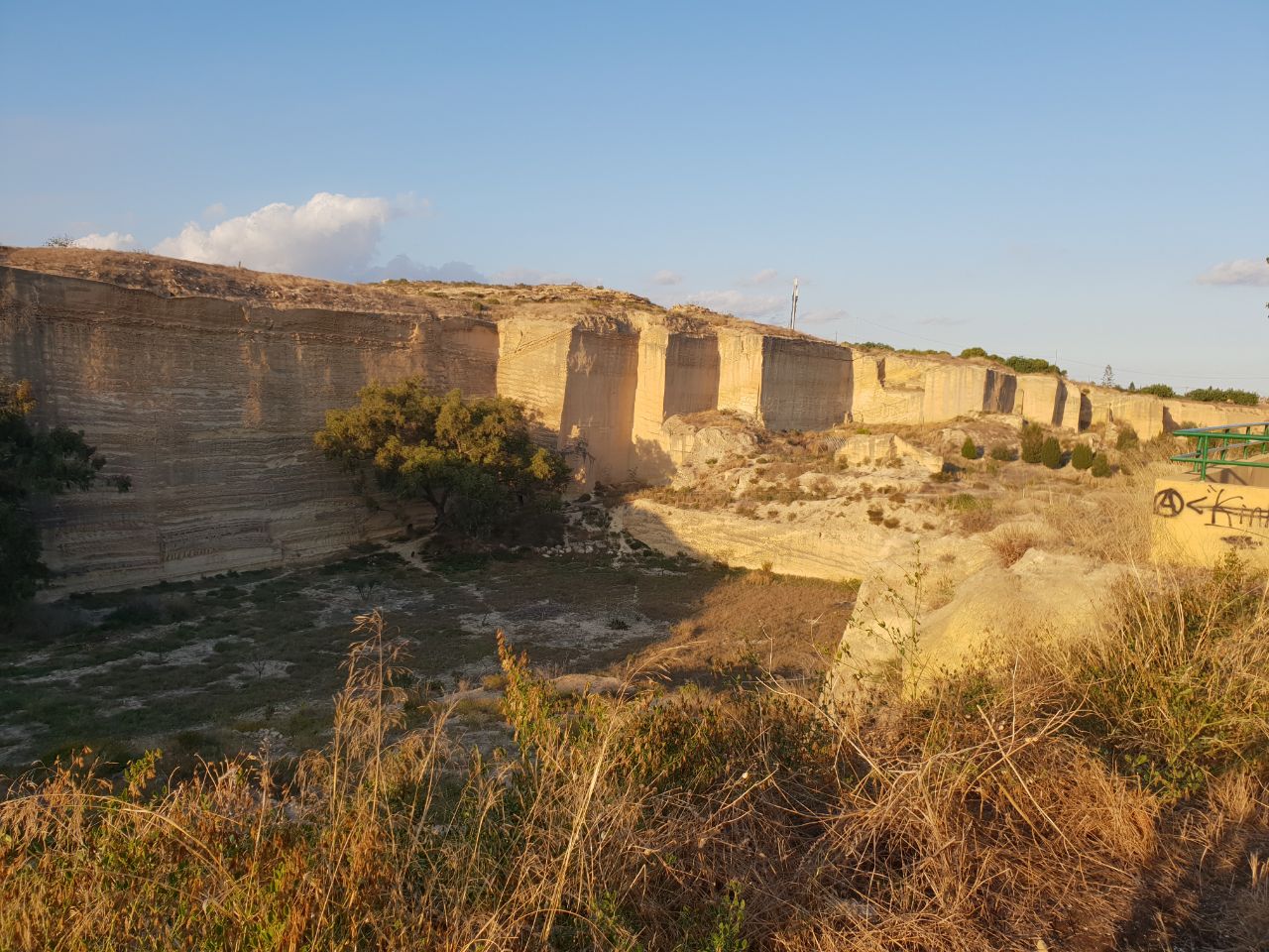 Creación de un corredor de bosque mediterráneo en Cartagena para revertir la expansión urbanística y aumentar la conectividad de los espacios con valor histórico, ecológico y social (Bosque Romano)