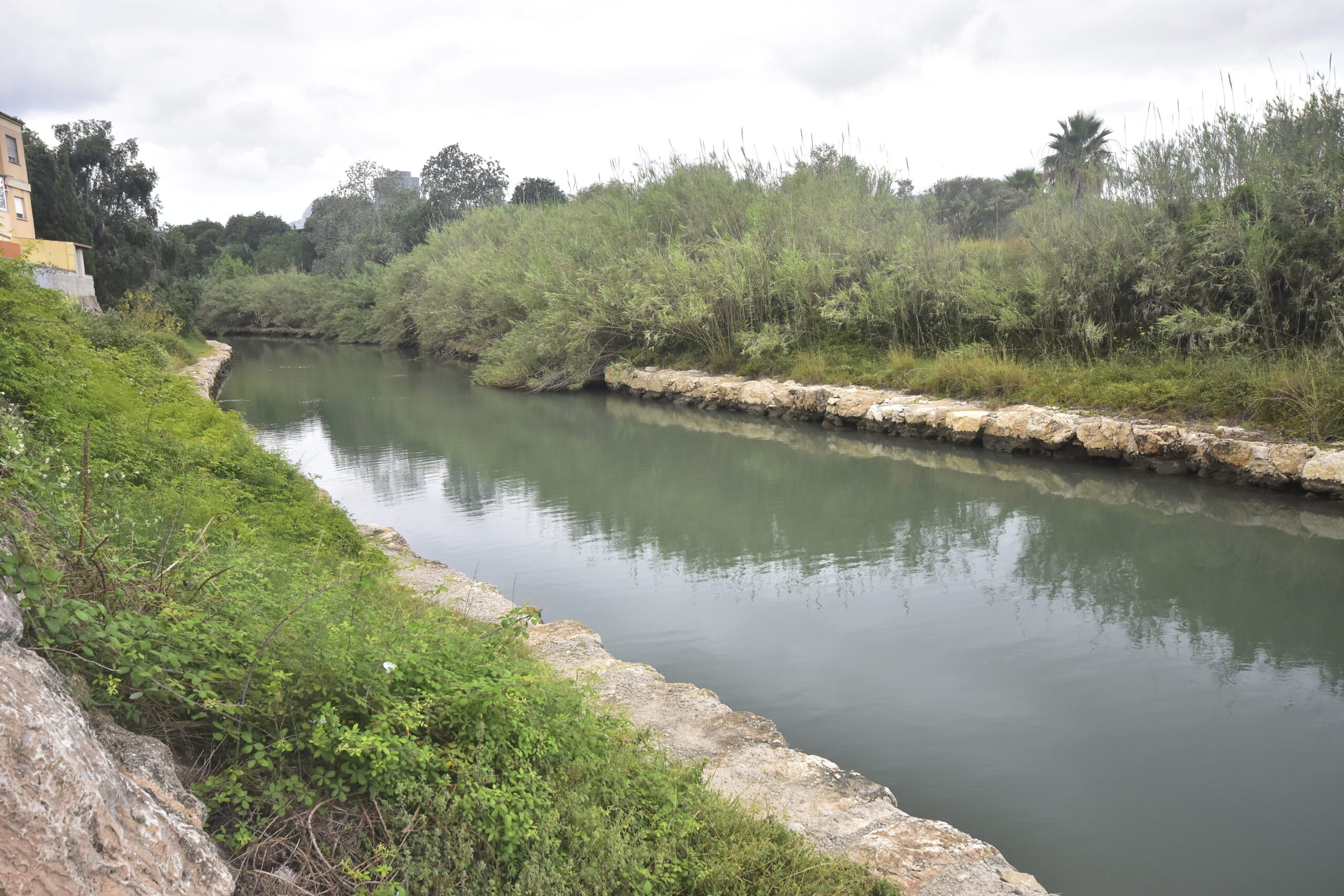 Renaturalization and mitigation of the effects of flooding in the green corridor of the Barranc de Beniopa ravine in the city of Gandia.