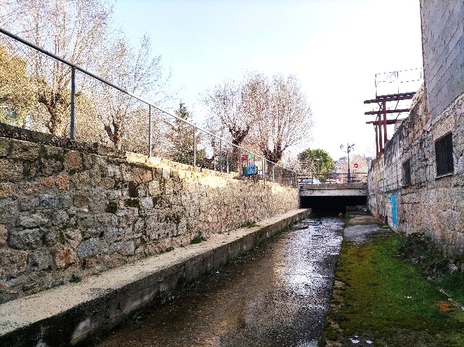 Restauración ecológica del arroyo Cortecero en su tramo urbano en Manzanares El Real (Manza tiene arroyo)