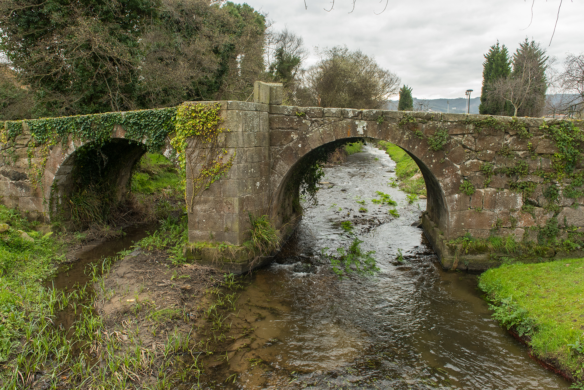 Restauración de ecosistemas fluviales y reducción de riesgo de inundación en el contorno urbano de los ríos Bolaños y Bidueiro (LONDRA Arteixo)