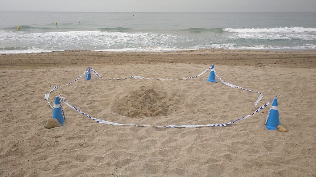 Investigación para la gestión y protección de la nidificación de tortugas marinas: colonización de la tortuga careta (Caretta caretta) en el Mediterráneo occidental (INGENI-CARETTA)