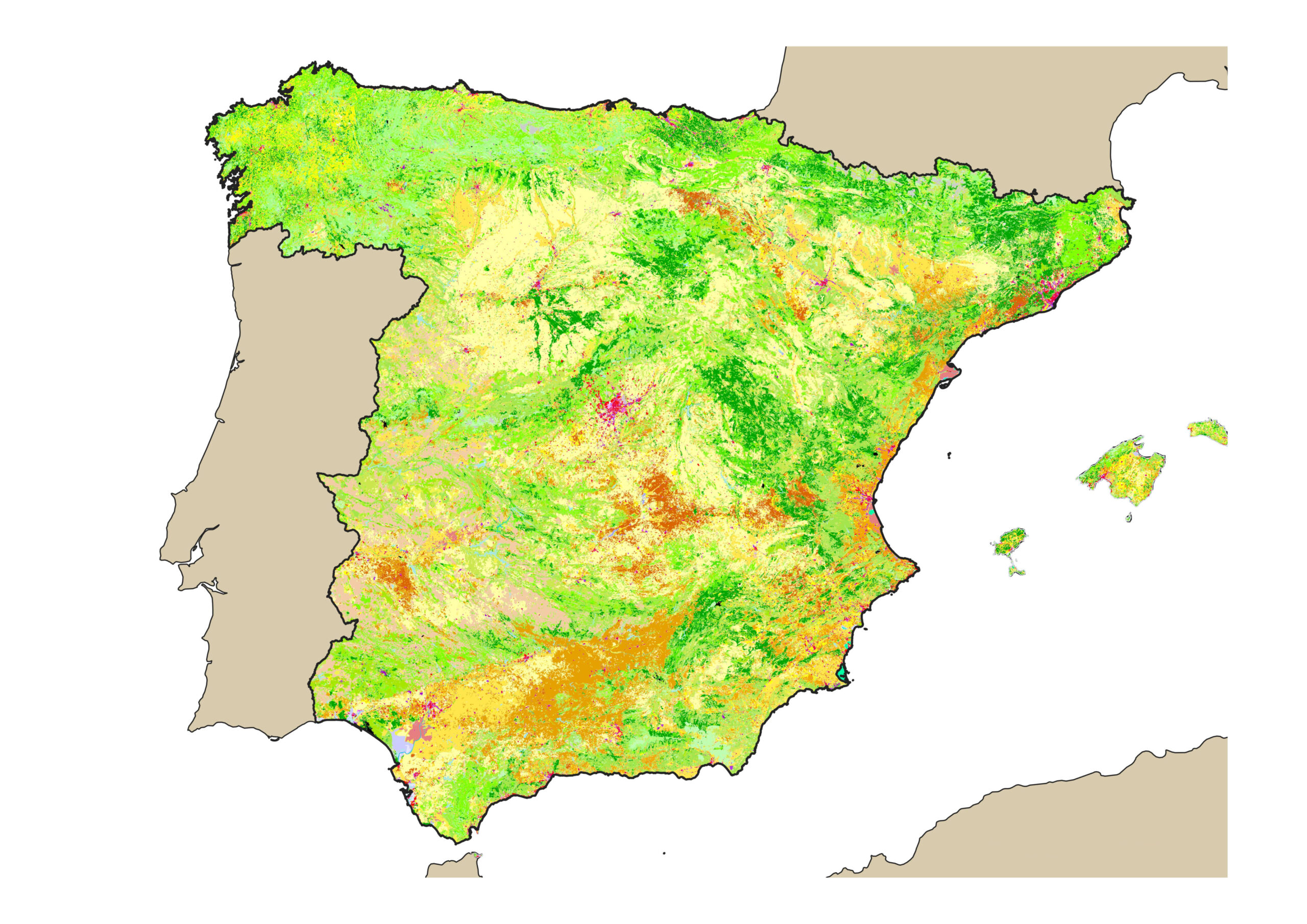 Tendencias poblacionales en respuesta al clima pasado y futuro: propuestas de mitigación para prevenir el declive de aves terrestres comunes (Bird Trend)