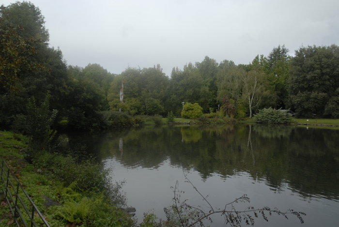 Project for the renaturalization, improvement of biodiversity and consolidation of the green infrastructure of Santiago de Compostela (Entre Sar e Sarela).