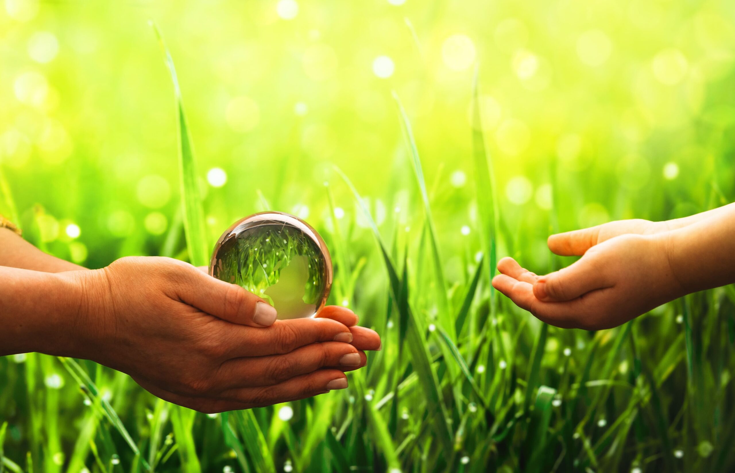 Mejora de la cualificación y la empleabilidad de los trabajadores de sectores ambientales vinculados a la economía circular