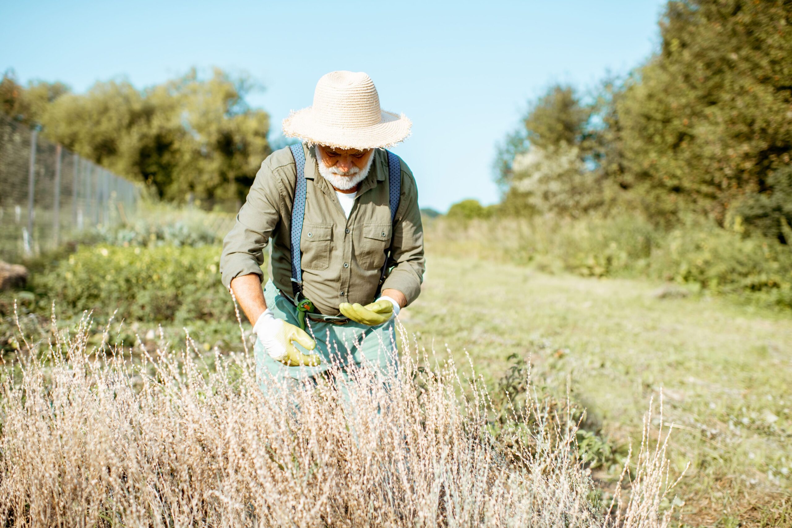 Semilla: formación y asesoramiento al sector agrario y acuícola para lamejora de sus capacidades laborales en sostenibilidad, eficiencia e innovación.