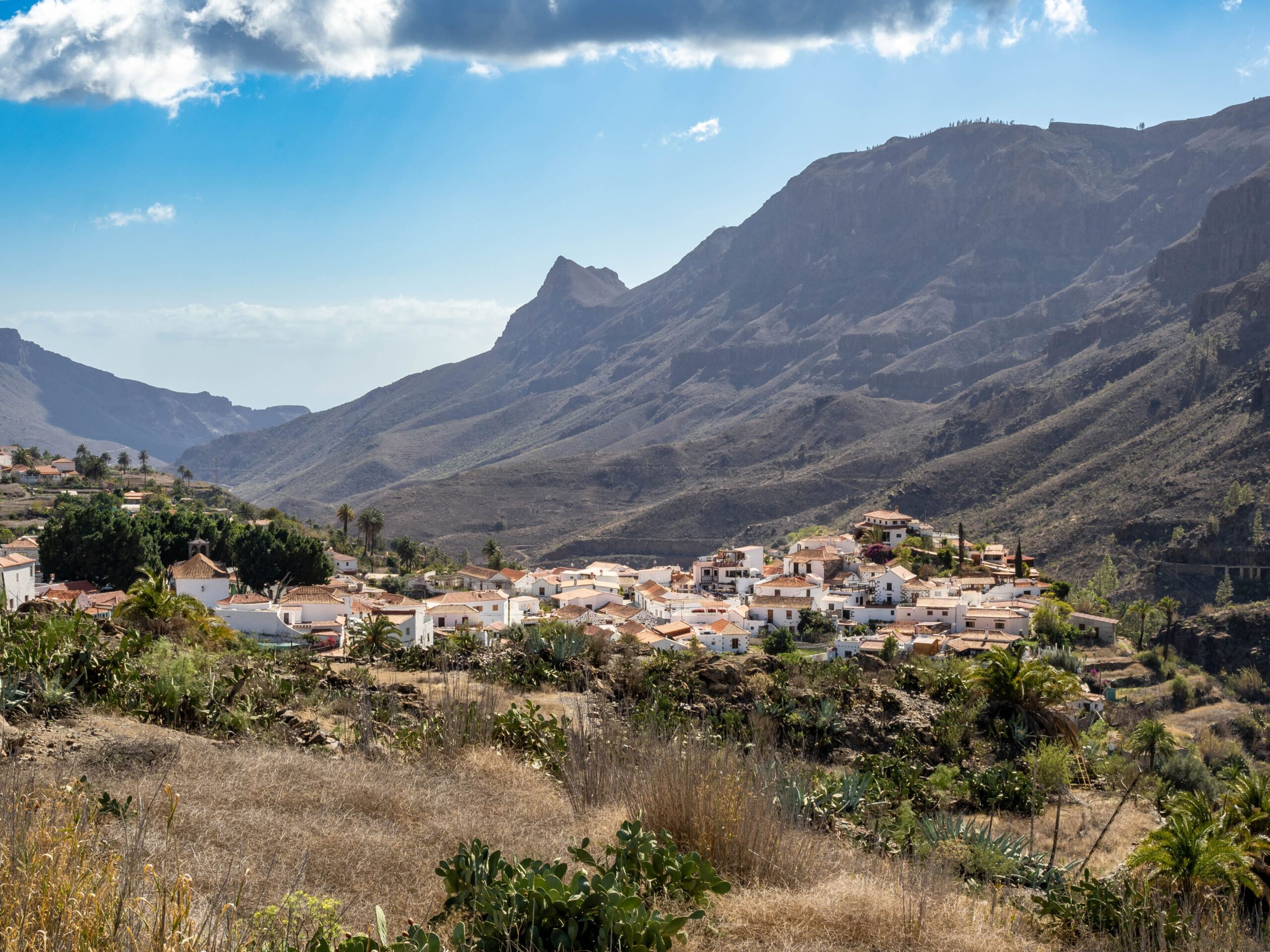 Fomento de la empleabilidad en turismo sostenible a través de la formación en recursos endógenos agroganaderos, forestales, ambientales, geológicos y gastronómicos en las Islas Canarias, Madrid y Castilla La Mancha.