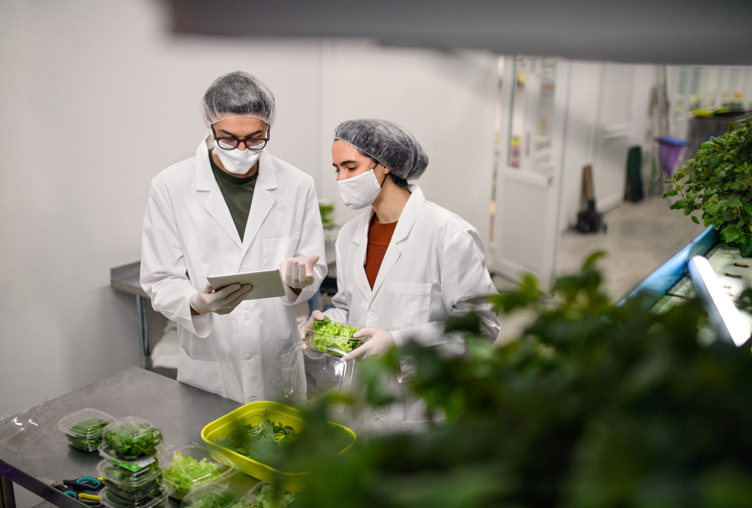 Acuaponía, la economía verde y azul emergente.