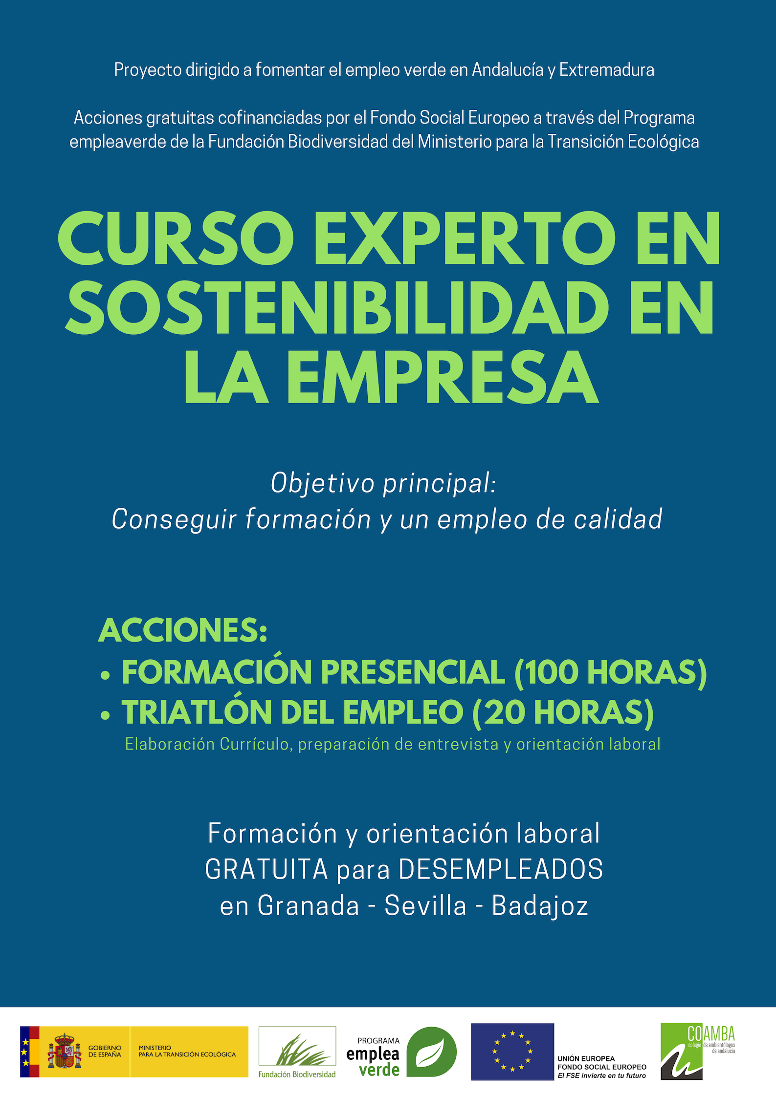 Experto en sostenibilidad en la empresa