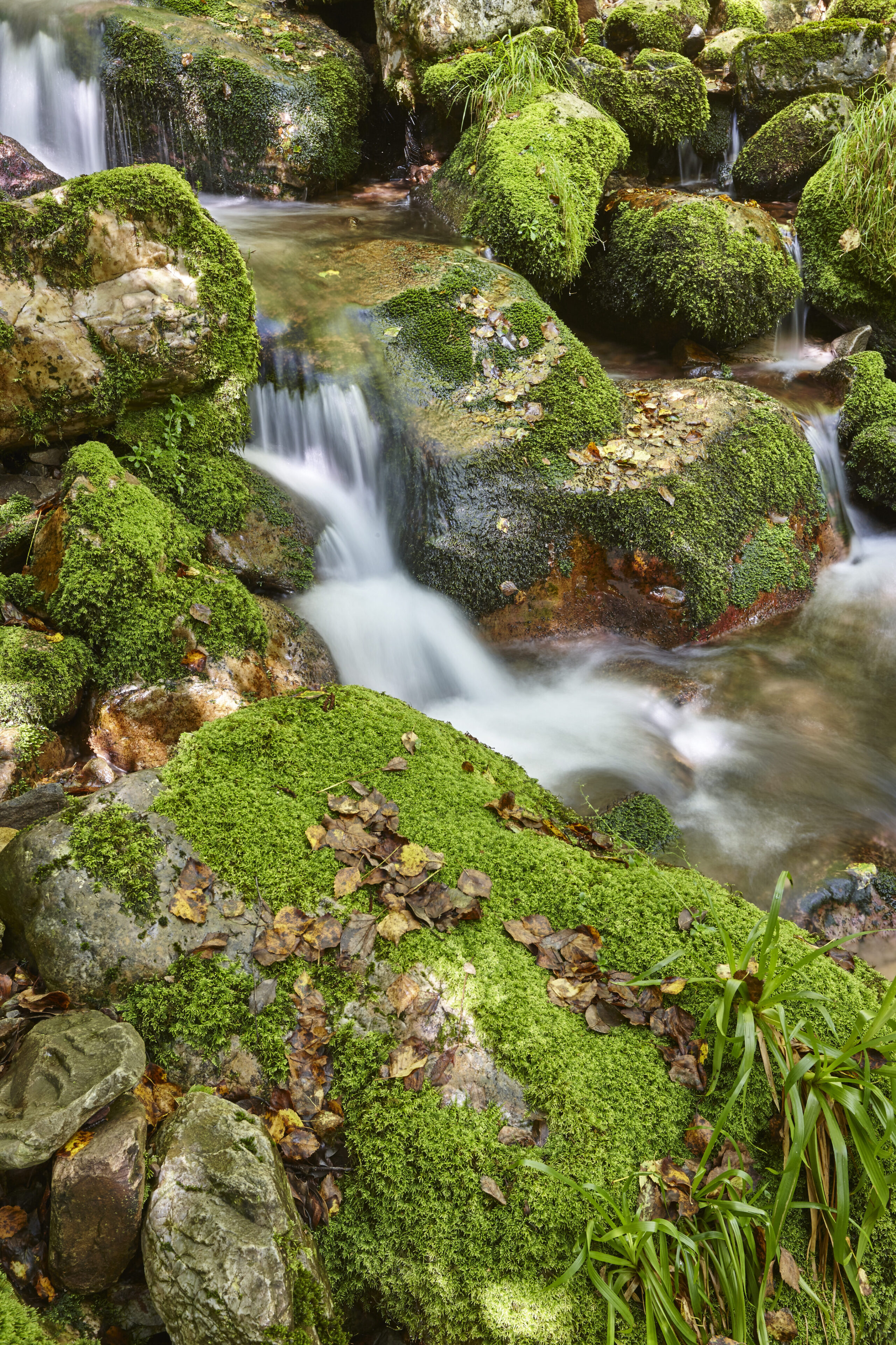 Puesta en valor de los recursos naturales y patrimoniales de Reservas de la Biosfera de Galicia y Asturias