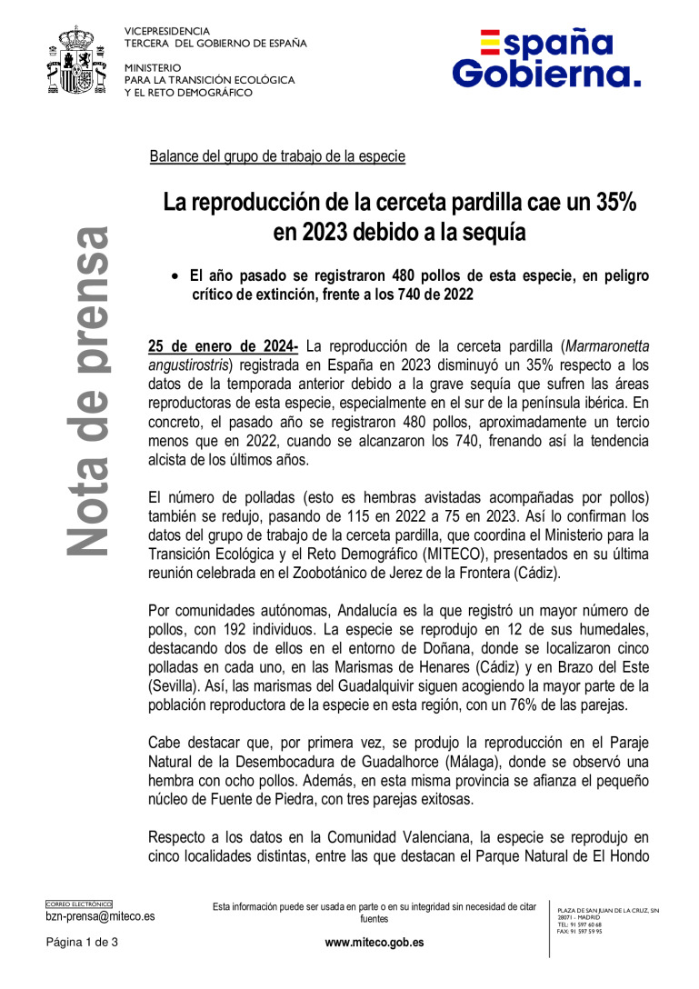 miniatura pdf