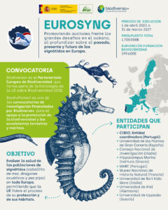 Infografía del proyecto EUROSYNG