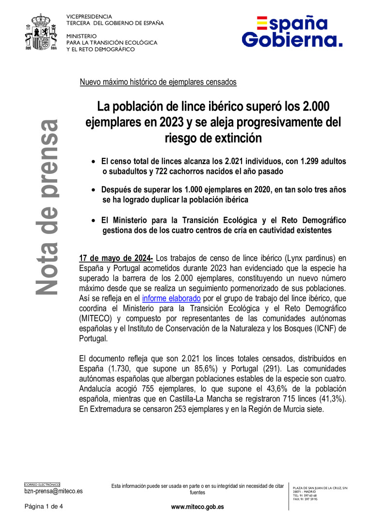 miniatura pdf