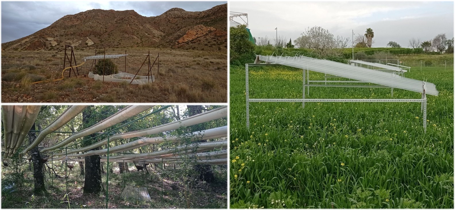 Building the AnaEE-Spain Network: Experimental plots to understand the climate change effects on terrestrial ecosystems (AnaEE-Sp)