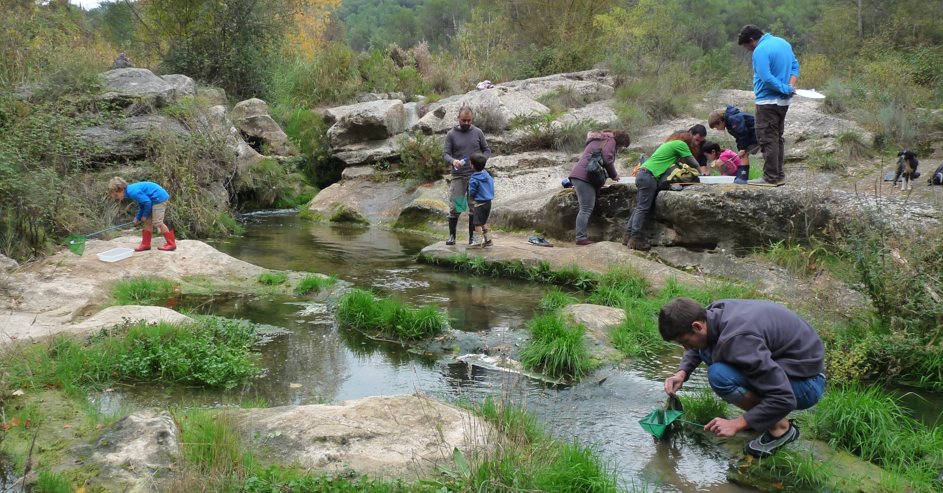 Proyecto Ríos: conocer y conservar los ecosistemas fluviales a través del voluntariado de Cataluña