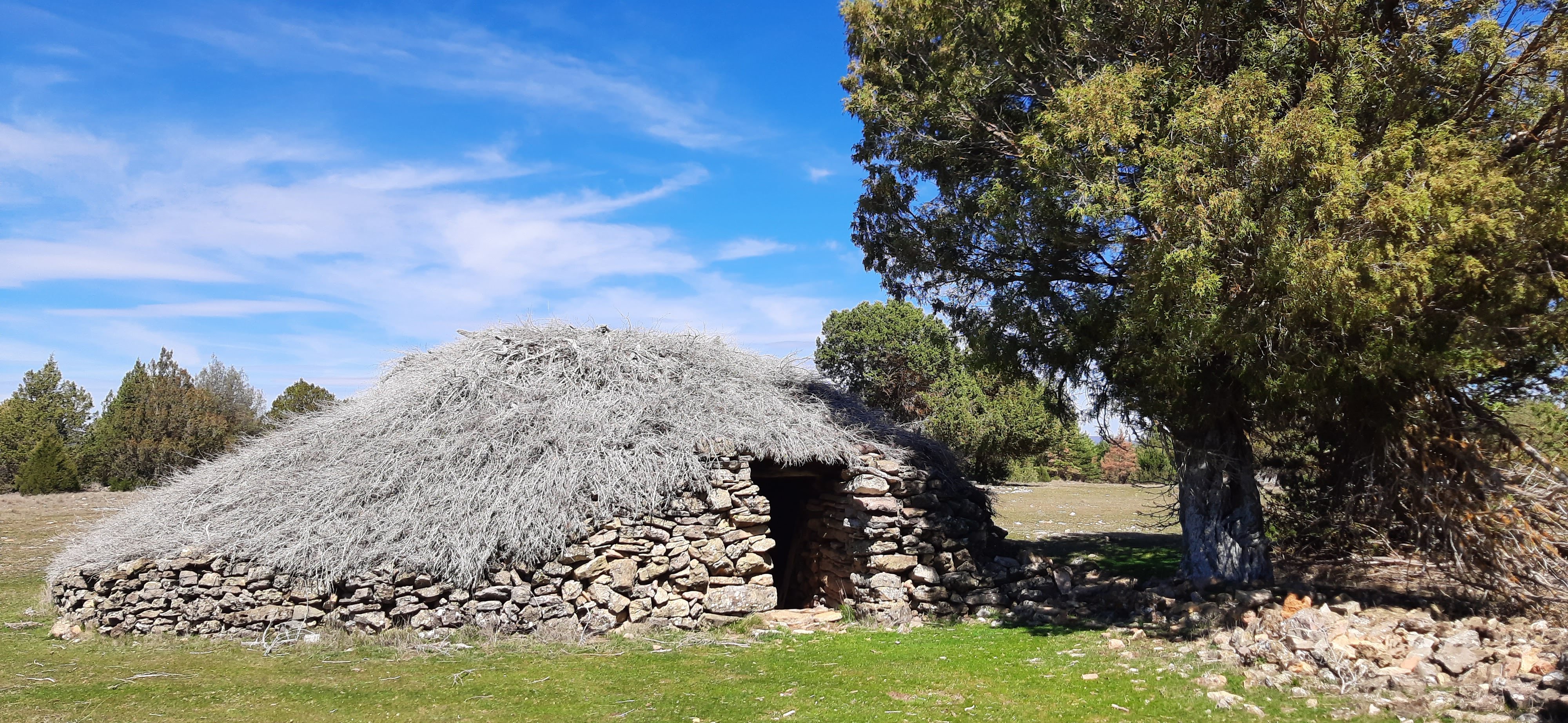 Parque Natural del Alto Tajo