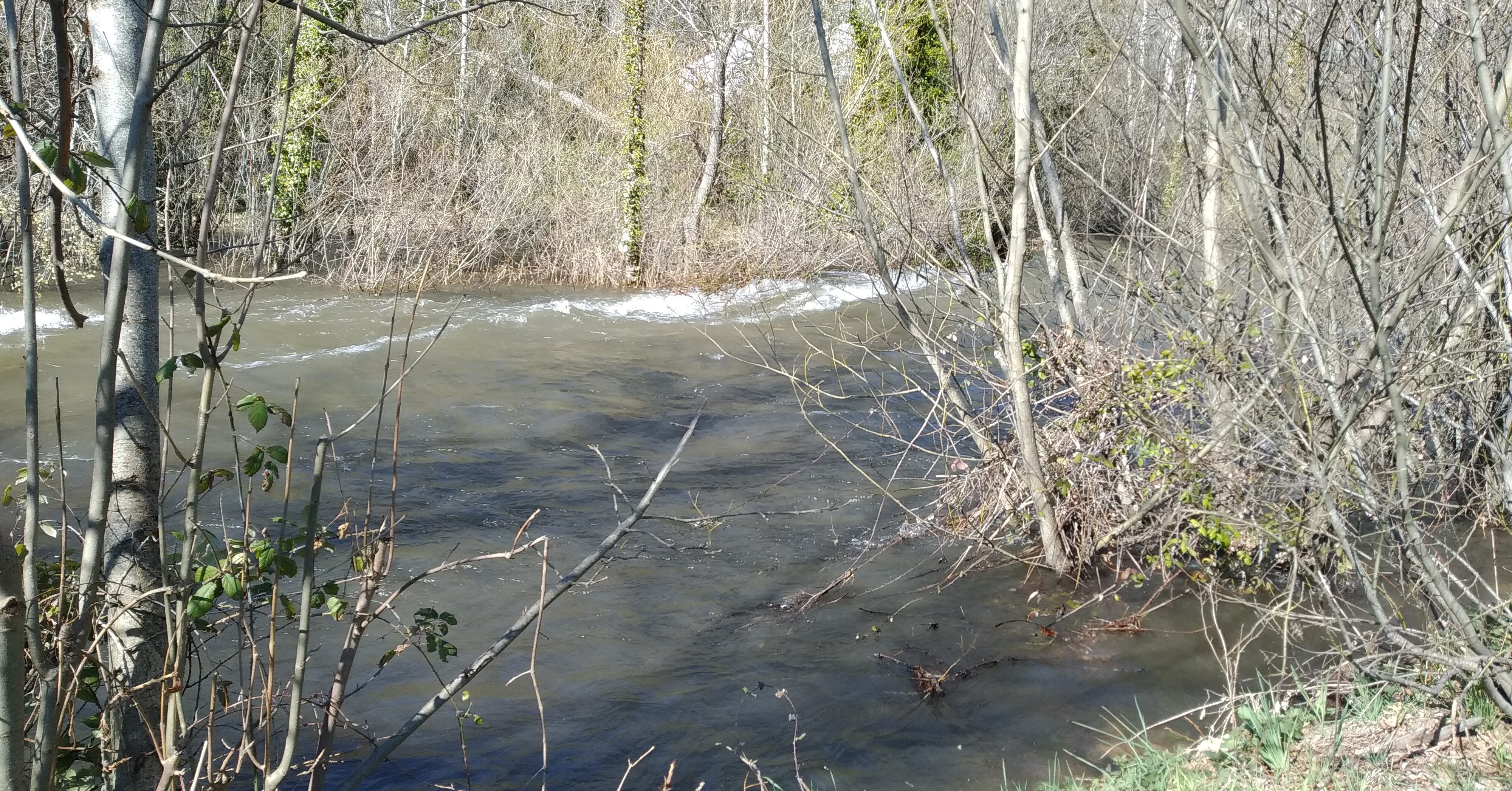 Paso de un río