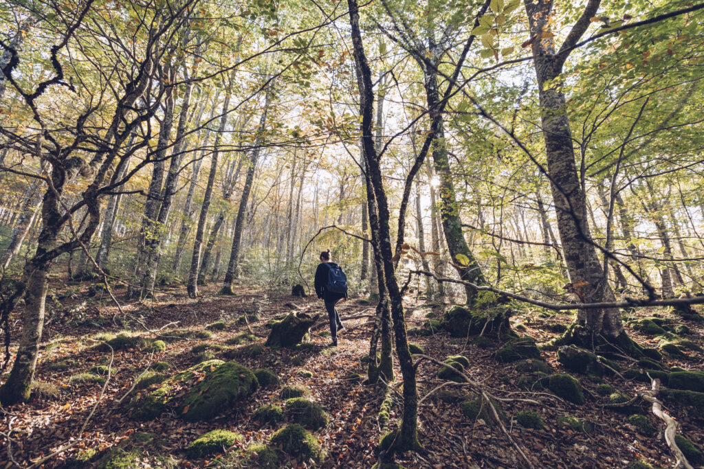 Mujer caminando por el bosque de Irati