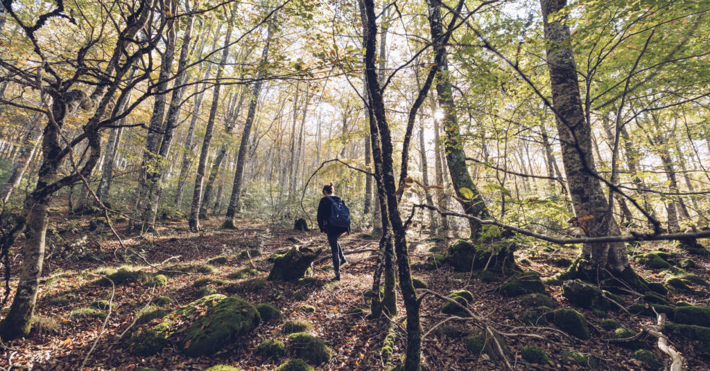 Mujer caminando por el bosque de Irati