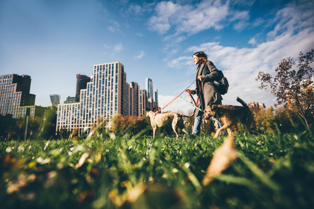 Mujer pasea junto a su perro en un parque de la ciudad