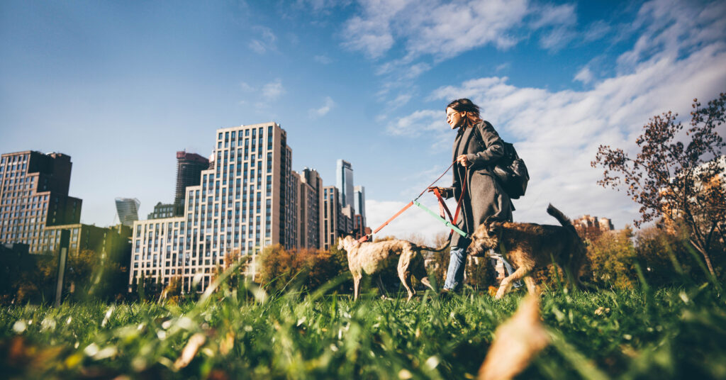 Mujer pasea junto a su perro en un parque de la ciudad