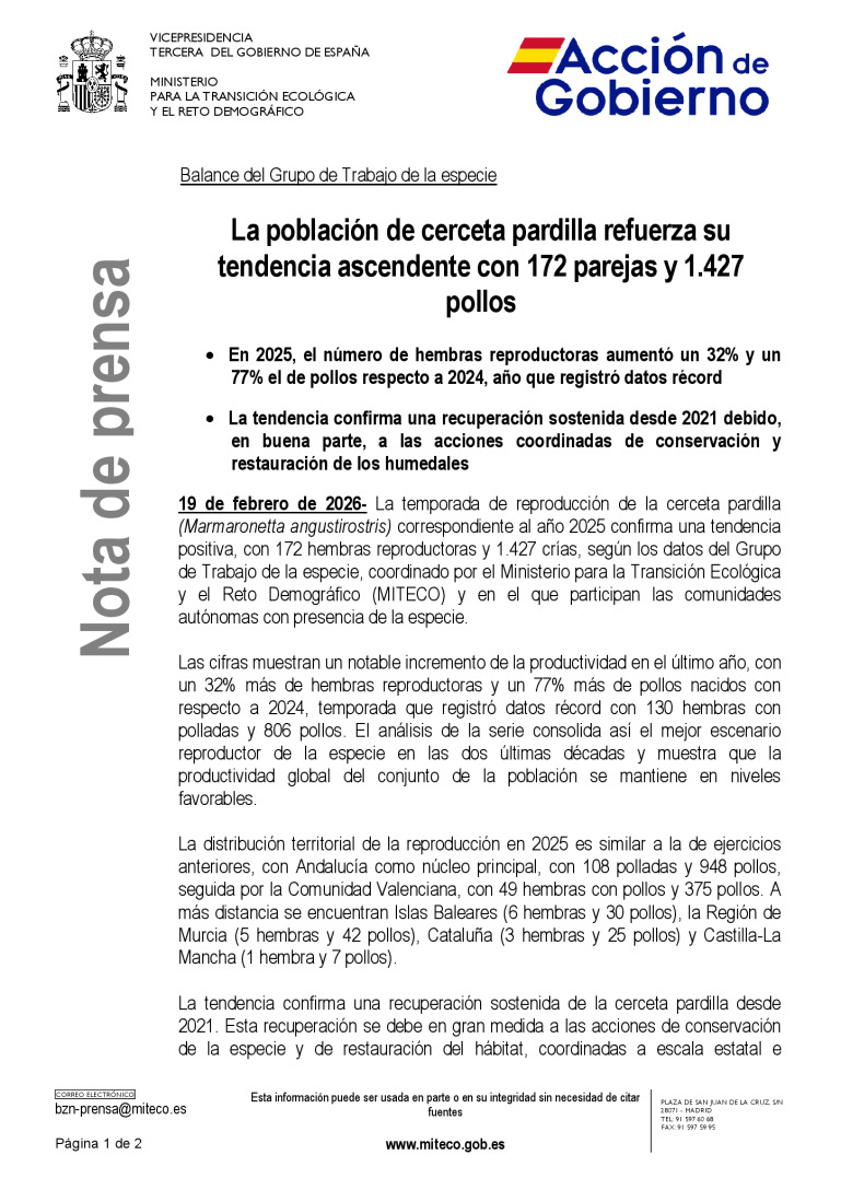 miniatura pdf