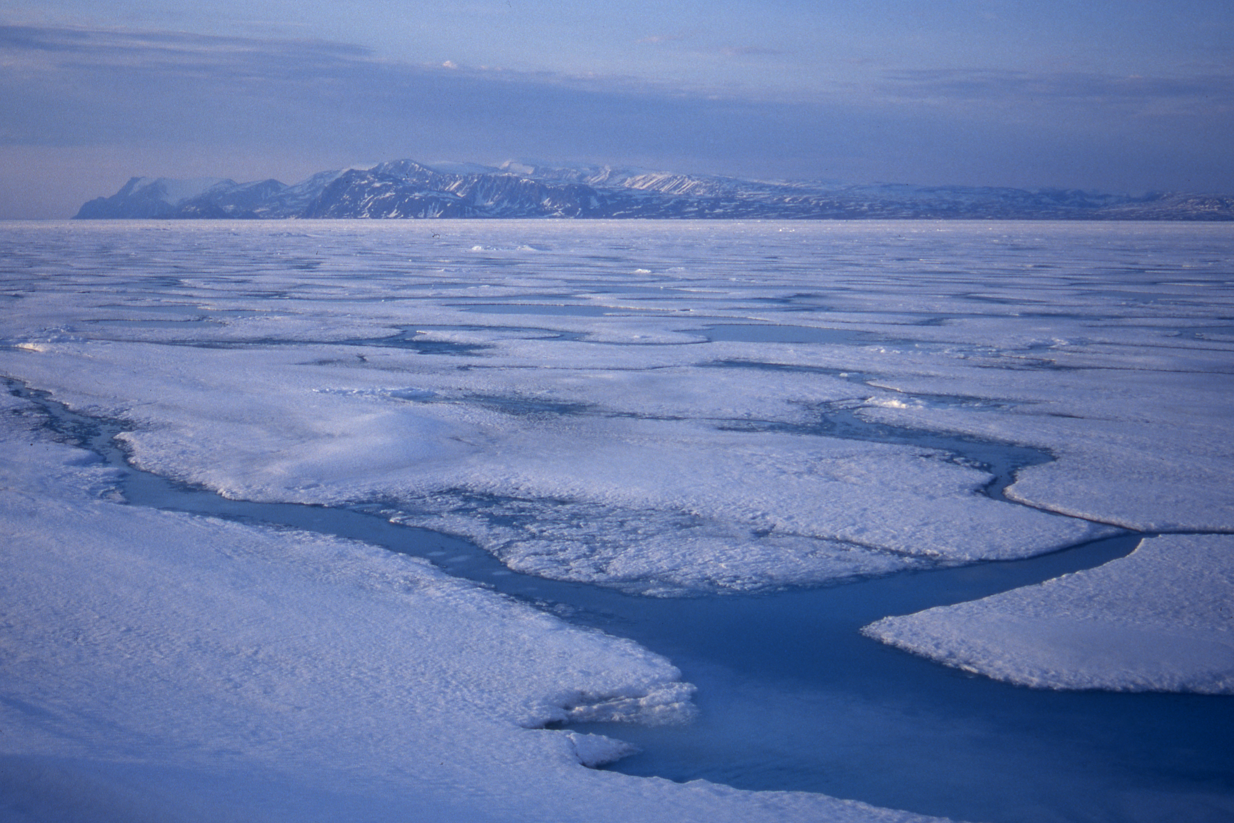 ICEBRIDGE