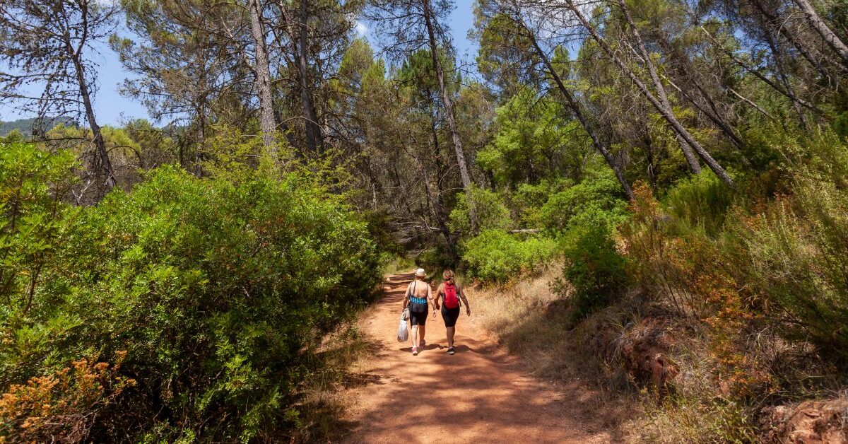 Senderistas recorriendo un bosque protegido